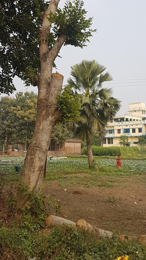 Ansari House Daire Bodh Gaya Dış mekan fotoğraf