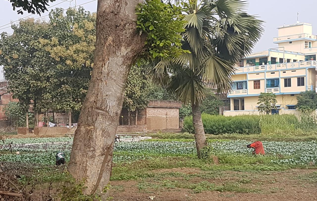Ansari House Daire Bodh Gaya Dış mekan fotoğraf